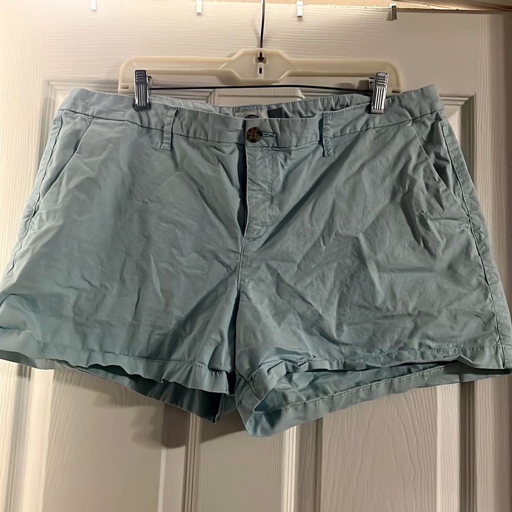 PLUS 16W Old Navy Baby Blue Shorts